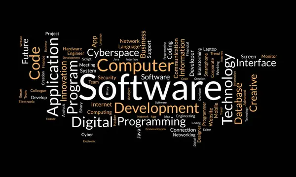 Concepto Fondo Nube Palabras Para Software Desarrollo Programación Informática Tecnología — Vector de stock