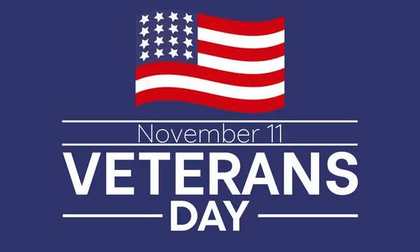 Veterans Day Tribute American Flag Saluting Soldier Observed November Vector — Stock Vector