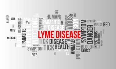 Lyme Hastalığı kelime bulut şablonu. Sağlık ve Tıbbi farkındalık kavramı vektör arka planı.