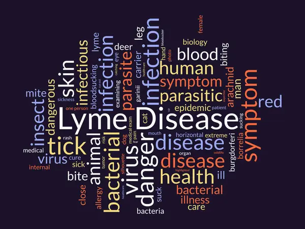 Lyme Hastalığı kelime bulut şablonu. Sağlık ve Tıbbi farkındalık kavramı vektör arka planı.