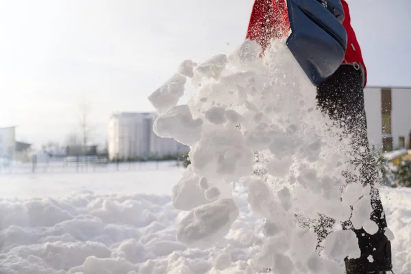 Meisje Schept Sneeuw Weg Naar Huis Mooie Besneeuwde Tuin Voortuin — Stockfoto