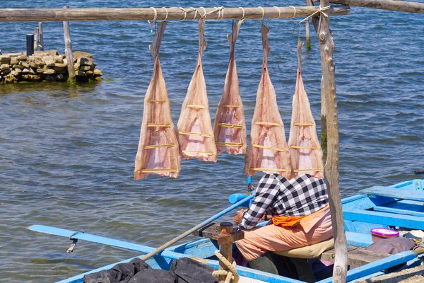 Croatia. fish on a drying rack along the adriatic sea. Fisherman dried fish on the sun. traditional fishing in croatia.