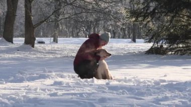 Happy hovawart puppy playing with owner in cold winter day. Golden retriever puppy playing in winter sunny day