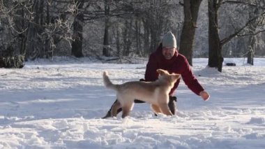 Happy hovawart puppy playing with owner in cold winter day. Golden retriever puppy playing in winter sunny day