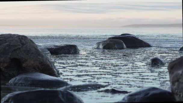 Baltic Sea Shore Sunset Ice Fragments Close Winter Seascape Gulf — Vídeos de Stock