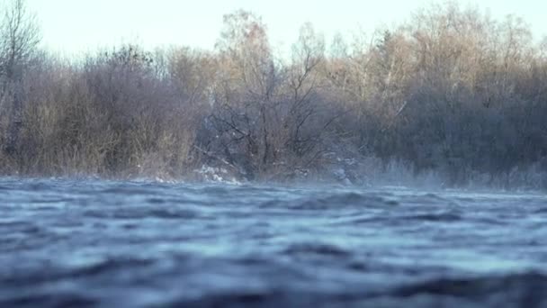 River Nonfreezing Streaming Winter Northern Europe Estonia Jagala River — Stockvideo