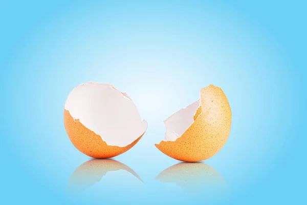 Egg shell isolated on white. Broken chicken egg shell isolated on light blue background