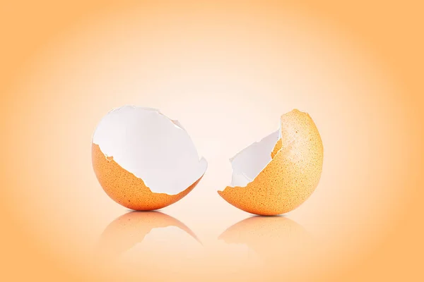Egg shell isolated on white. Broken chicken egg shell isolated on brown