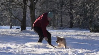 A happy Man walking dog at snowy weather, outdoor. dog owner playing with puppy winter concept. Playing with happy dog fun