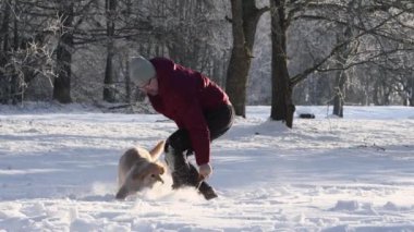 Happy hovawart puppy playing with owner in cold winter day. Golden retriever puppy playing in winter sunny day