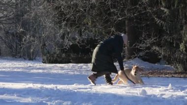 A young woman walking her dog snowy weather, outdoor. dog owner playing with puppy winter concept. playing with happy dog fun
