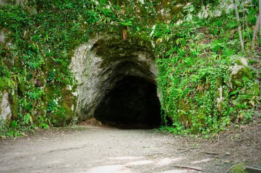 Enter to cave in green forest in National Park, Croatia. View of the entrance to the cave
