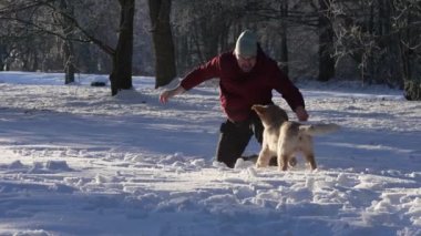 A happy Man walking dog at snowy weather, outdoor. dog owner playing with puppy winter concept. Playing with happy dog fun