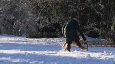 A young woman walking her dog snowy weather, outdoor. dog owner playing with puppy winter concept. playing with happy dog fun