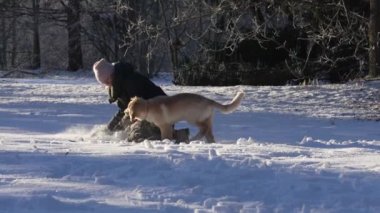 A young woman walking her dog snowy weather, outdoor. dog owner playing with puppy winter concept. playing with happy dog fun