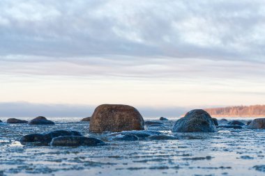 Panoramic view of the shore of the Baltic sea at sunset in winter. Ice fragments in sea close-up. Colorful seacape, soft sunlight. winter sea. The coast of the Gulf of Finland in winter