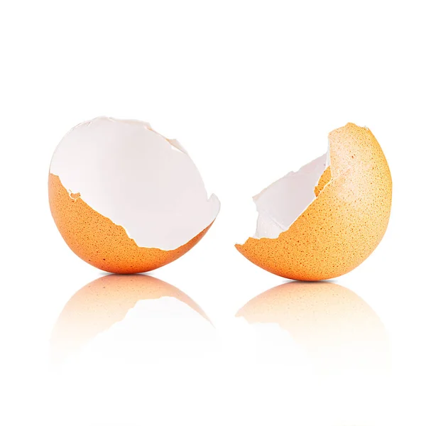 Egg shell isolated on white. Broken chicken egg shell isolated on white
