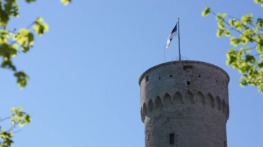 Güneşli yaz gününde Herman Kulesi 'nde Estonya bayrağı. Tallinn, Estonya, Avrupa.