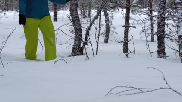Kvinde Vinter Varm Jakke Snedækket Vinter Fyrreskov Ung Kvinde Går – Stock-video