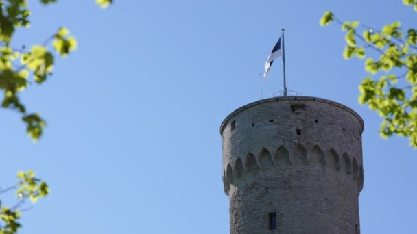 Bandera Estonia Torre Herman Soleado Día Verano Tallin Estonia Europa — Vídeo de stock