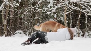 Kış ormanında sevimli sarışın Hovawart köpeğiyle oynayan genç bir kız..