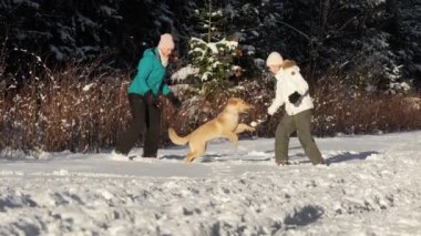 Mutlu aile, kış ormanında sevimli sarışın Hovawart köpeğiyle oynuyor. kış etkinliği