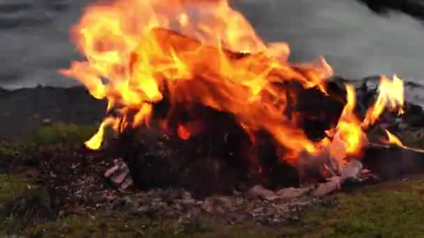 Φωτιά Που Καίει Στην Όχθη Του Ποταμού Χειμωνιάτικη Μέρα Ζεστό — Αρχείο Βίντεο