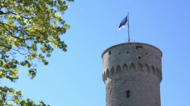 Güneşli yaz gününde Herman Kulesi 'nde Estonya bayrağı. Tallinn, Estonya, Avrupa.