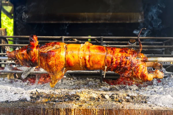 Whole pig spit roasted. Pig roasted on a barbecue spit. Outdoor Barbecue grill in open bbq pit. The little pig is roasted whole on an open fire.