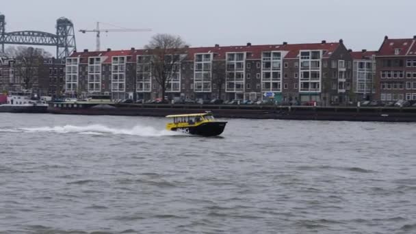 オランダのロッテルダム 2023年4月 ロッテルダムのNieuwe Maas川に高速水上タクシー Dhg社だ ロッテルダムのイエローボートDhgタクシーサービス — ストック動画