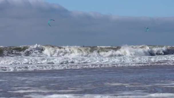 Birçok Insan Rüzgârlı Bir Günde Deniz Kıyısında Uçurtma Sörfü Yaparken — Stok video