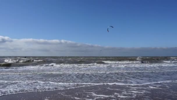 Muitas Pessoas Gostam Andar Kite Surf Board Dia Ventoso Mar — Vídeo de Stock