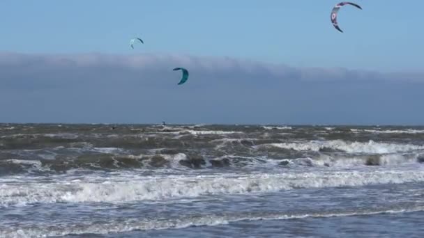 Πολλοί Άνθρωποι Απολαμβάνουν Την Οδήγηση Kite Surf Σκάφους Θυελλώδη Ημέρα — Αρχείο Βίντεο