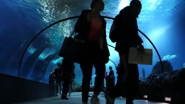 Rotterdam April 2023 Bezoekers Aquarium Zeeleven Blijdorp Zoo Rotterdam — Stockvideo