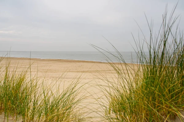 Θέα Στην Παραλία Από Την Άμμο Μονοπάτι Μεταξύ Των Αμμόλοφων — Φωτογραφία Αρχείου
