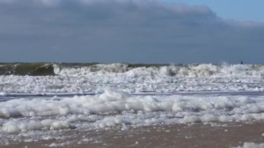 Hollanda, Texel sahilinde kum fırtınası. Rüzgarlı bir günde deniz köpüklü plaj. Den Helder