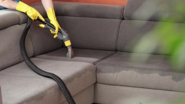 Concepto Limpieza Mujer Lava Muebles Suaves Sala Estar Empleado Quitar — Vídeo de stock