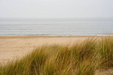 Hollanda kıyı şeridindeki kum tepelerinin arasındaki patikadan sahil manzarası. Marram otu, Hollanda. Hollanda 'nın kuzey kıyısındaki kum tepeleri ya da lezbiyenler