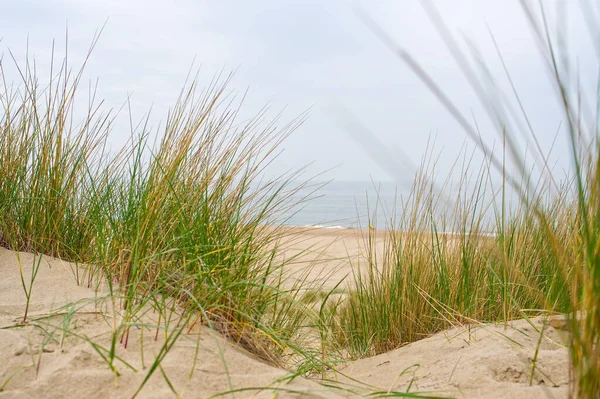 Vista Sulla Spiaggia Dal Sentiero Sabbia Tra Dune Sulla Costa — Foto Stock