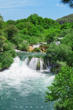 Güneşli yaz gününde güzel bir şelale arka planı. Krka Ulusal Parkı 'nda Güzel Şelale - Hırvatistan, Avrupa. Krka Ulusal Parkı 'nda Krka nehri şelaleleri