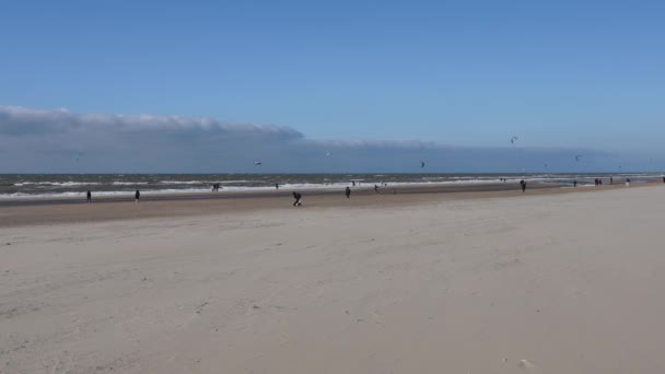 People Walk Spend Free Time Beach Windy Weather Netherlands Beach — стоковое видео