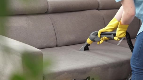 Concepto Limpieza Mujer Lava Muebles Suaves Sala Estar Empleado Quitar — Vídeos de Stock