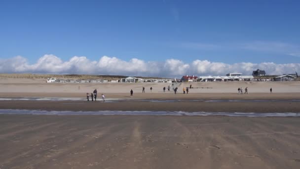 People Walk Spend Free Time Beach Windy Weather Netherlands Beach — Vídeo de Stock