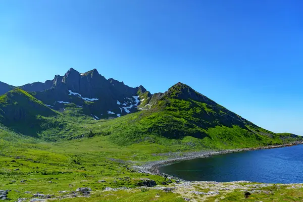 Niesamowity Widok Przyrodę Fiordem Górami Piękny Letni Krajobraz Norwegii Obraz — Zdjęcie stockowe