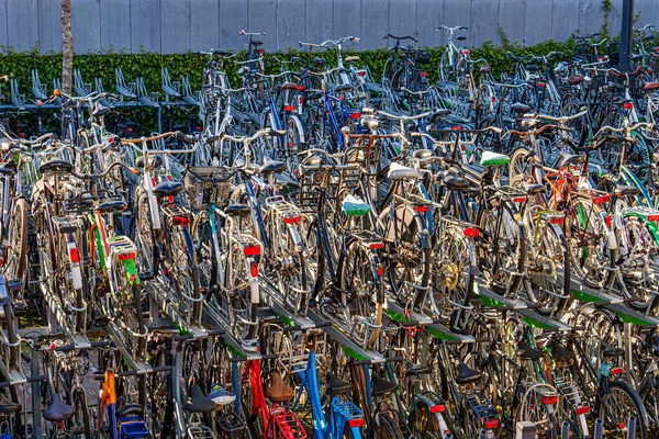 Μεγάλο Δημόσιο Χώρο Στάθμευσης Ποδηλάτων Παλιά Πολύχρωμα Ποδήλατα Ένα Πάρκινγκ — Φωτογραφία Αρχείου