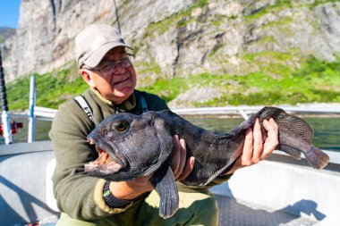 Lofoten, Senija, Alta-Norveç yakınlarındaki teknede büyük bir kurt balığıyla balıkçı. Tutan adam Atlantik kurdu balığı yakalar.