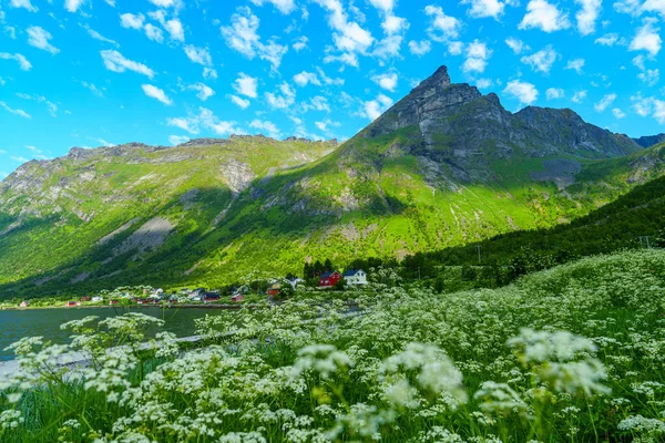 Beau Paysage Été Norvégien Classique Mois Juillet Prairies Montagnes Puissantes — Photo