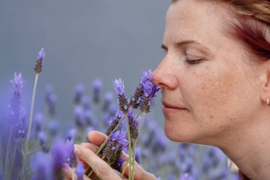 Aromaterapi, tatlı genç bir kadın yazın lavanta tarlasında yürürken lavanta çiçeklerinin kokusundan hoşlanır..