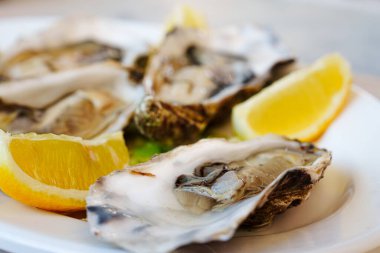 Taze, büyük istiridyeler, limon dilimleriyle sunulmuş, el değmemiş beyaz bir tabakta, nefis bir deniz ürünleri lezzeti.