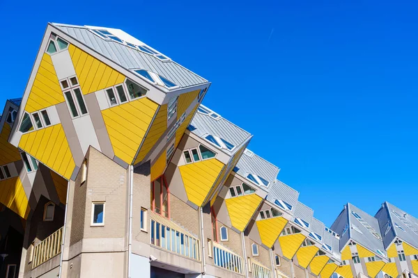 Nádherná Městská Krajina Pulzující Žlutá Kostka Domy Rotterdamu Moderní Architektonický — Stock fotografie